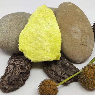 Pedra amarela rugosa entre pedras castanhas e cascas com flores secas