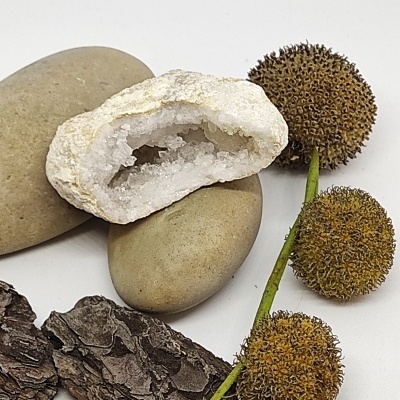 Decoração com pedras, geodo, casca e flores secas