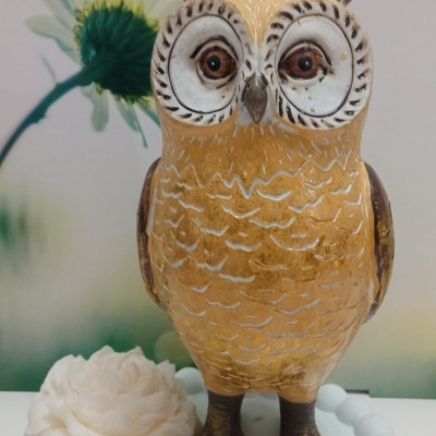 Estatueta de coruja castanha com olhos grandes ao lado de flor branca e pulseira de contas brancas