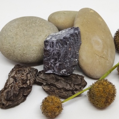 Pedras naturais e cascas de árvore com ramo de bolas secas sobre fundo branco.