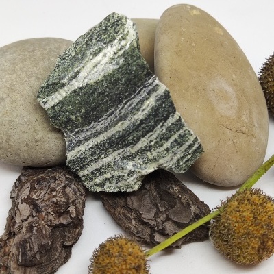 Pedras naturais diversas e flores secas sobre fundo branco