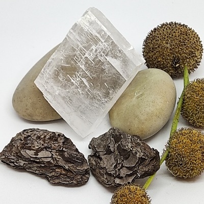 Pedras naturais, cascas de árvore e flores secas sobre fundo branco