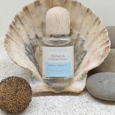 Frasco de essência concentrada Brisa Fresca sobre concha grande com pedras e areia