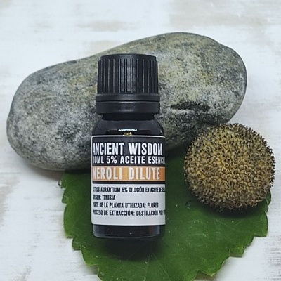 Frasco de óleo essencial 'Ancient Wisdom' sobre folha verde com pedra e semente