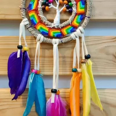 Apanhador de sonhos colorido com penas e contas de madeira