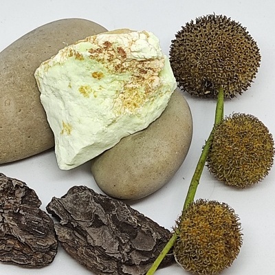 Elementos naturais variados sobre fundo branco