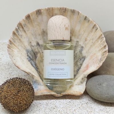 Frasco de essência concentrada dentro de concha com pedras ao redor