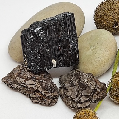 Conjunto de pedras, cascas e sementes secas sobre fundo branco