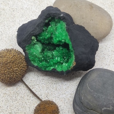 Geodo verde com exterior negro em superfície clara com pedras e cápsulas secas.
