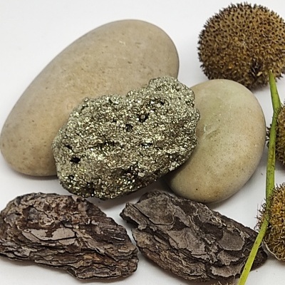 Pedras decorativas, cascas e frutos secos sobre fundo branco