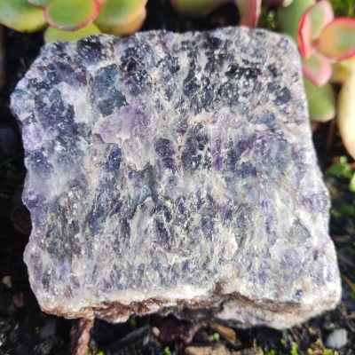 Pedra natural roxa e cinzenta com textura irregular no solo perto de plantas suculentas verdes com bordas rosadas.