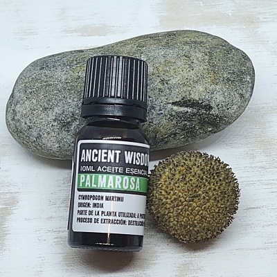 Frasco de óleo essencial de palmarosa entre pedra cinza e semente espinhosa sobre fundo branco