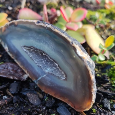 Fatia de ágata polida com núcleo cristalizado sobre terra e musgo.