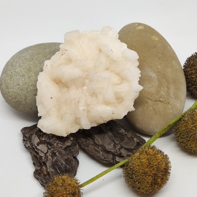 Conjunto de pedras, casca e frutos naturais sobre fundo branco