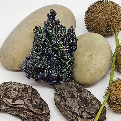 Conjunto de pedras naturais e elementos secos sobre fundo branco