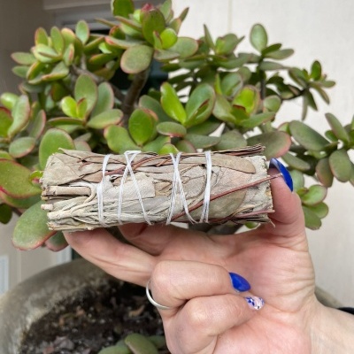 Mão segurando feixe de folhas secas enroladas com corda branca e planta suculenta ao fundo