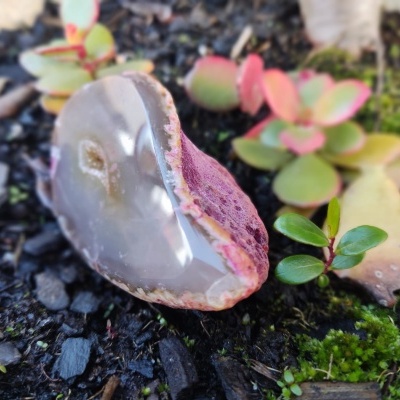 Ágata polida em terra com plantas pequenas