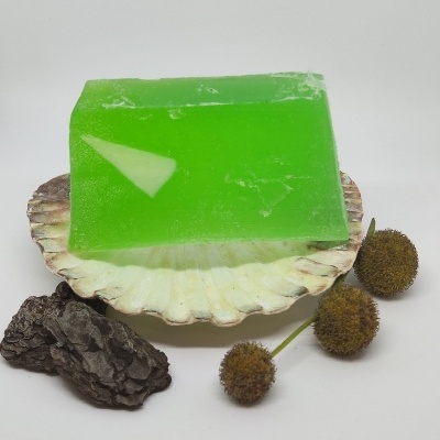 Sabonete verde numa concha com casca e frutos secos