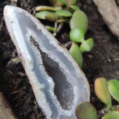 Geodo de ágata cortado com interior cristalino, em terra com suculentas verdes.