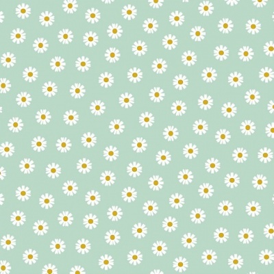 Papel de parede ou tecido com padrão de margaridas brancas em fundo azul claro