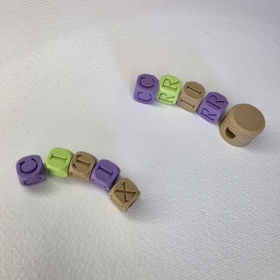 Cortex&#x20;Core&#x20;Bundle