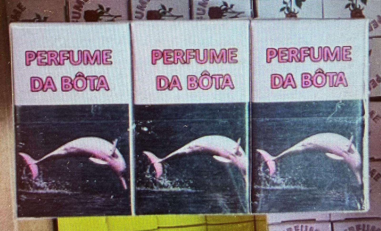 Caixas de perfume com texto PERFUME DA BÔTA e imagem de golfinho cor-de-rosa