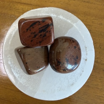 Três pedras polidas castanhas com manchas pretas num prato branco sobre mesa de madeira