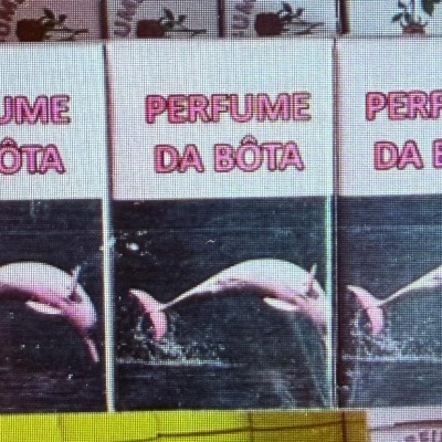 Caixas de perfume com texto PERFUME DA BÔTA e imagem de golfinho cor-de-rosa