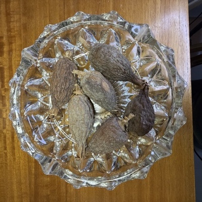 Frutos secos castanhos em prato de vidro sobre mesa de madeira