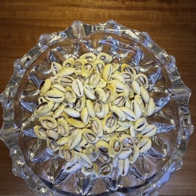 Conchas do mar amarelas e brancas em prato de cristal sobre mesa de madeira
