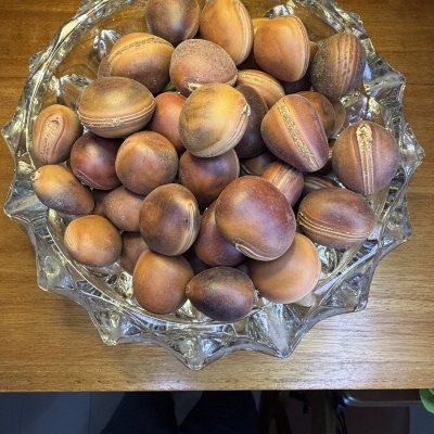 Taça de vidro com castanhas em casca sobre mesa de madeira