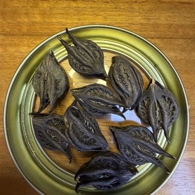 Frutos secos castanho escuro numa base metálica redonda prateada