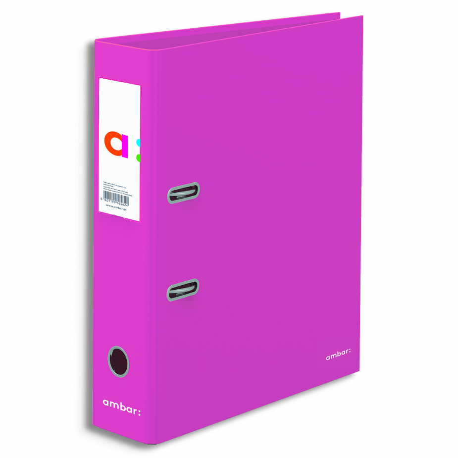 P. Arq. A4 (L80) Rosa Ambar School