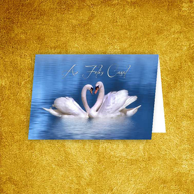 Postal Noivos c/ Envelope Oferta NV 142015