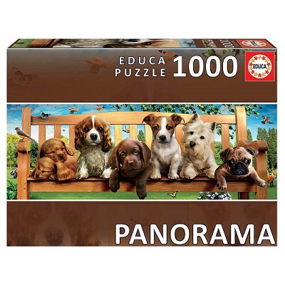 1000 Cãezinhos no Banco Panorama