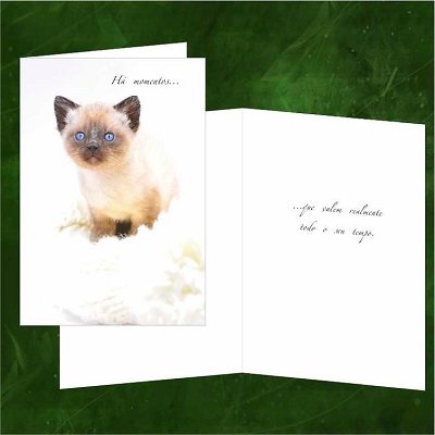 Postal Felicitações M152A