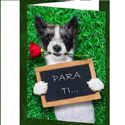 Postal Felicitações M108B