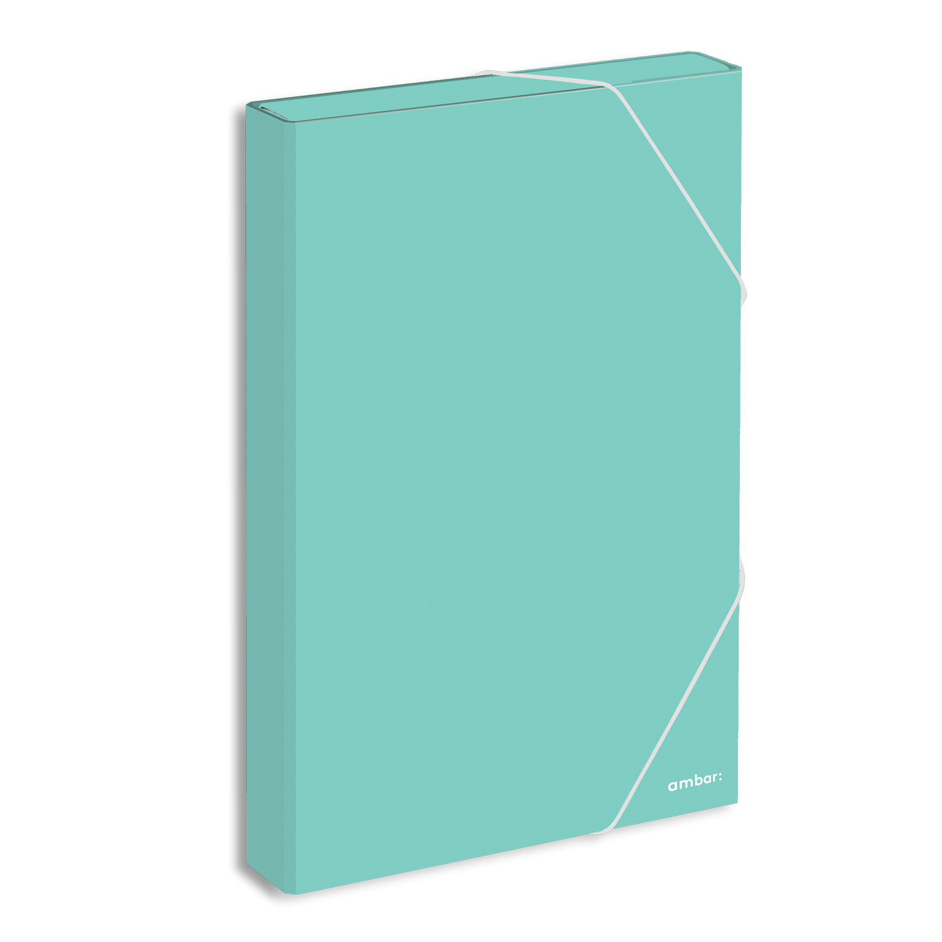 Pasta c/ Elasticos Almaco Ambar 40mm Cores