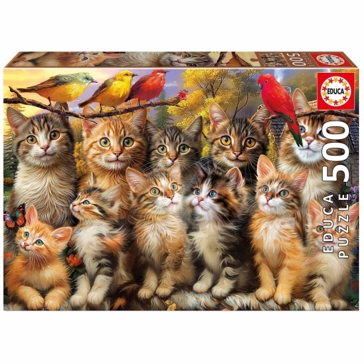 500 Gatinhos e Passaros 20241