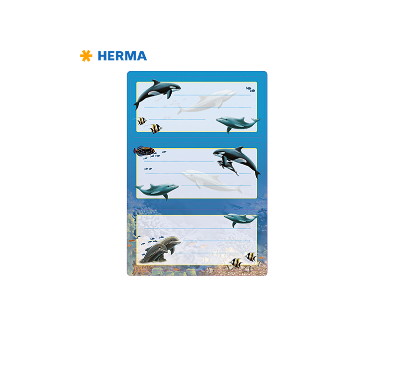 Etiquetas Escolares Golfinhos