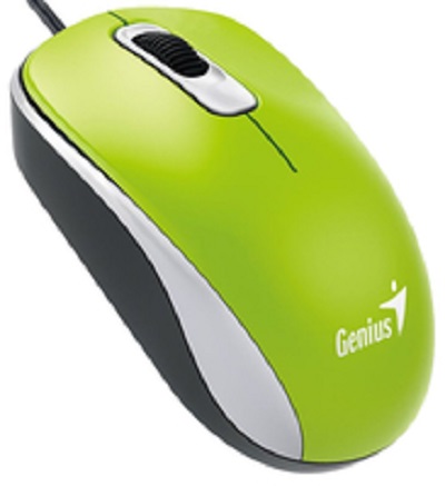 Rato GENIUS DX-110 Verde