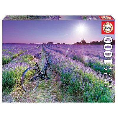 1000 Bicicleta num Campo de Lavanda