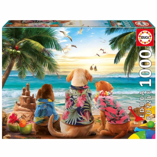 1000 Caes na Praia 20291