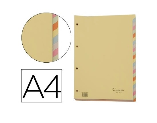 Separadores A4 Cartolina Conj. 24