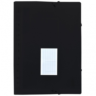 Pasta Classificadora c/ 13 Divisoes c/ Fole Preto