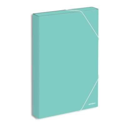 Pasta c/ Elasticos Almaco Ambar 40mm Cores