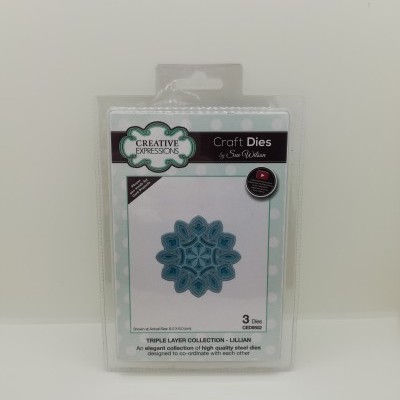 Conjunto de moldes de corte de aço para artesanato, embalagem transparente com etiqueta colorida