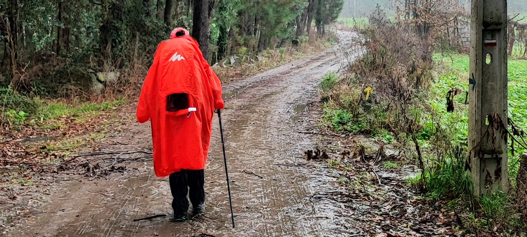 GNR - Operação “Bom Caminho” Pessoa com capa de chuva vermelha caminhando em estrada de terra lamacenta cercada por árvores