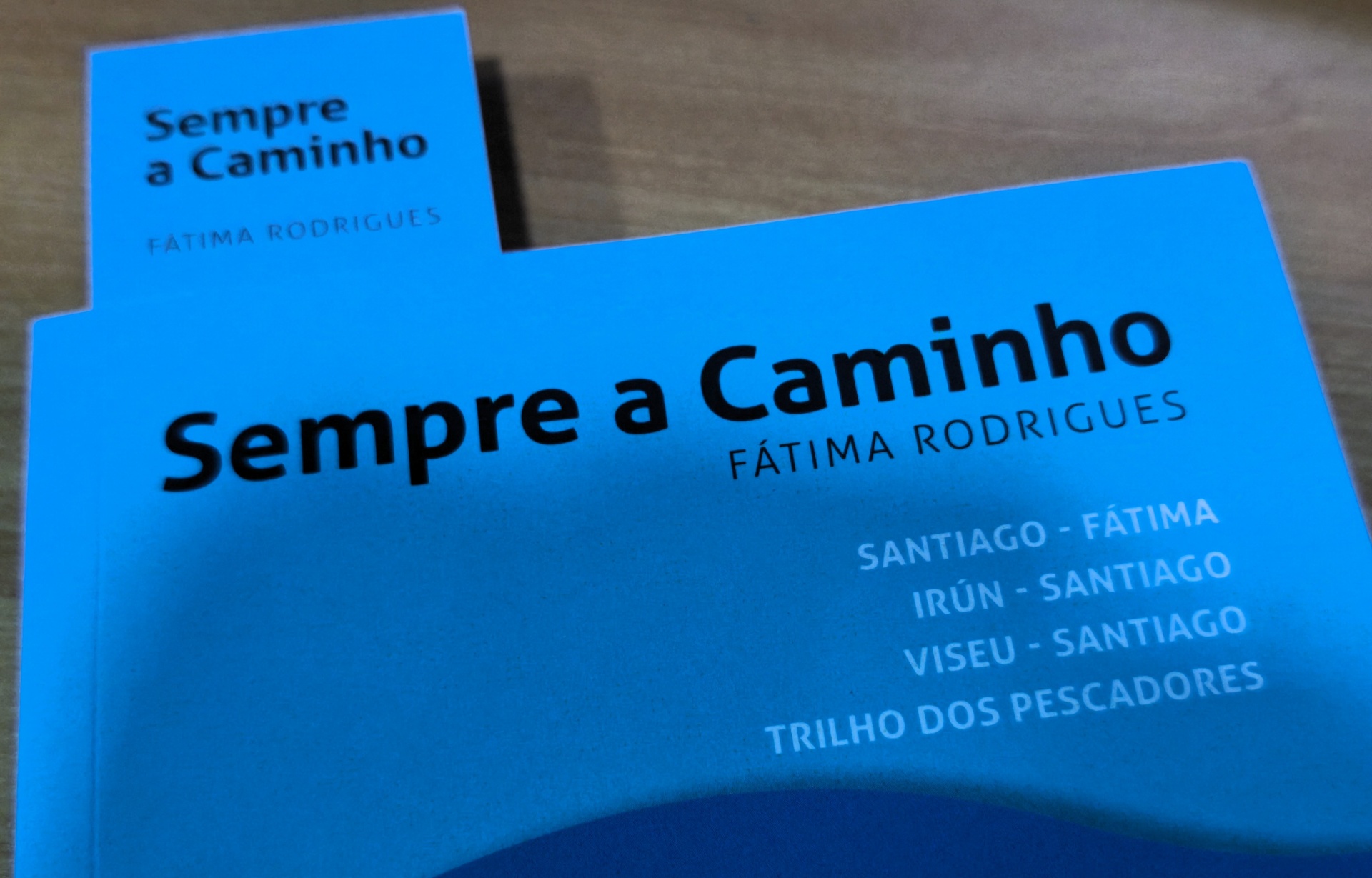 Capa azul de livro Sempre a Caminho de Fátima Rodrigues com texto de cidades em branco