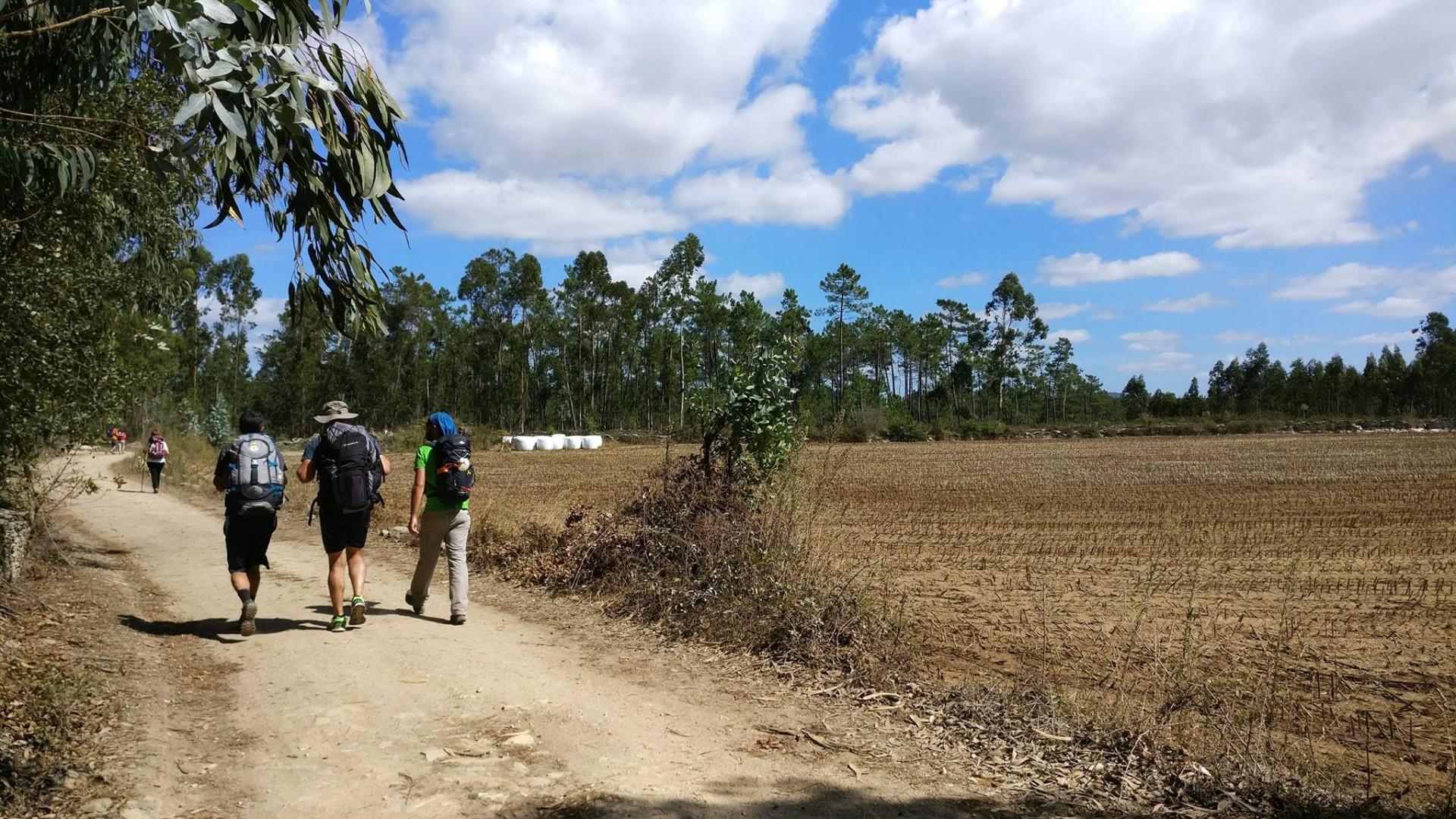 Pessoas a caminhar por caminho de terra numa zona rural com campos e árvores ao fundo
